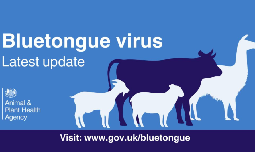 Bluetongue Virus – Lincs Control Zone