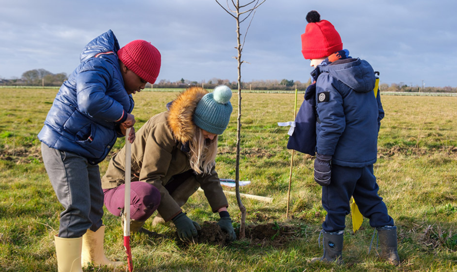 Could you plant 50 free trees?