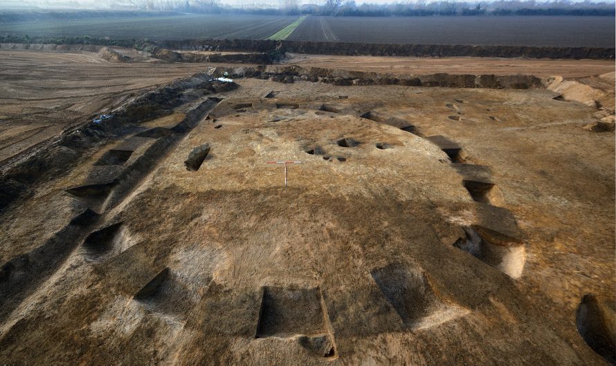 Unearthing 6000 years of West Deeping heritage