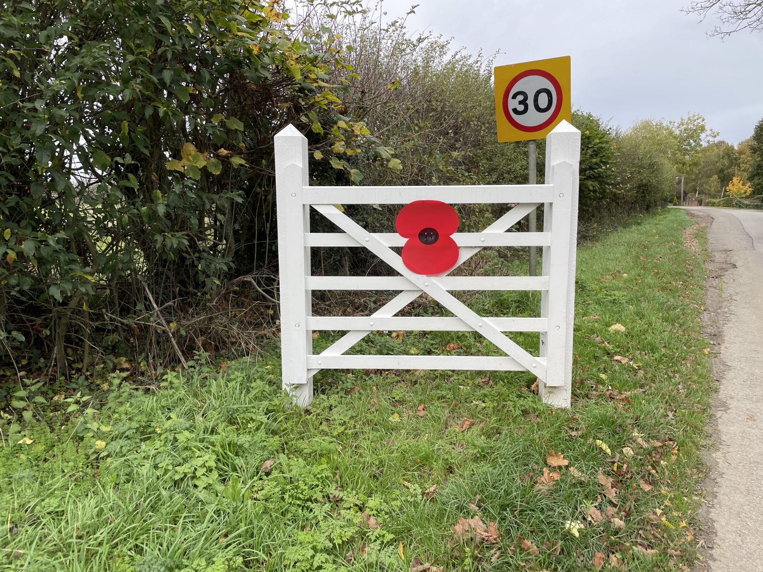 Village Poppies – Stubton Village