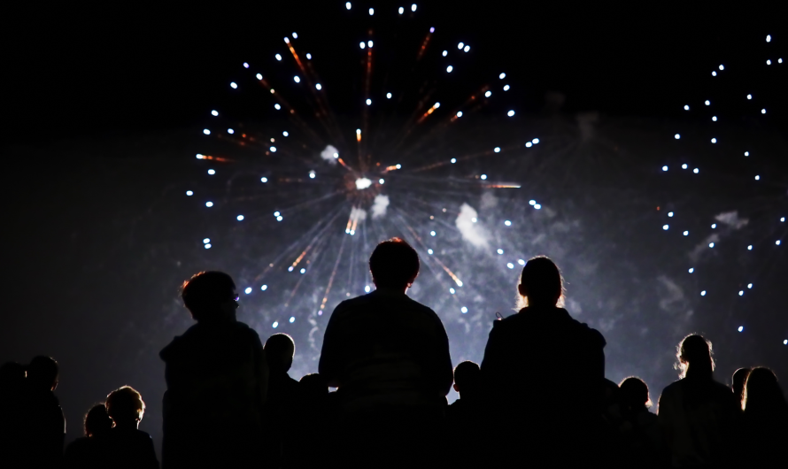 Leave it to the pros, find a public display this bonfire night