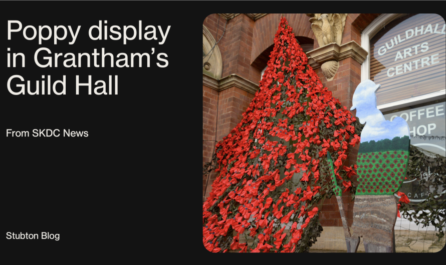 Poppy art installation back for Remembrance