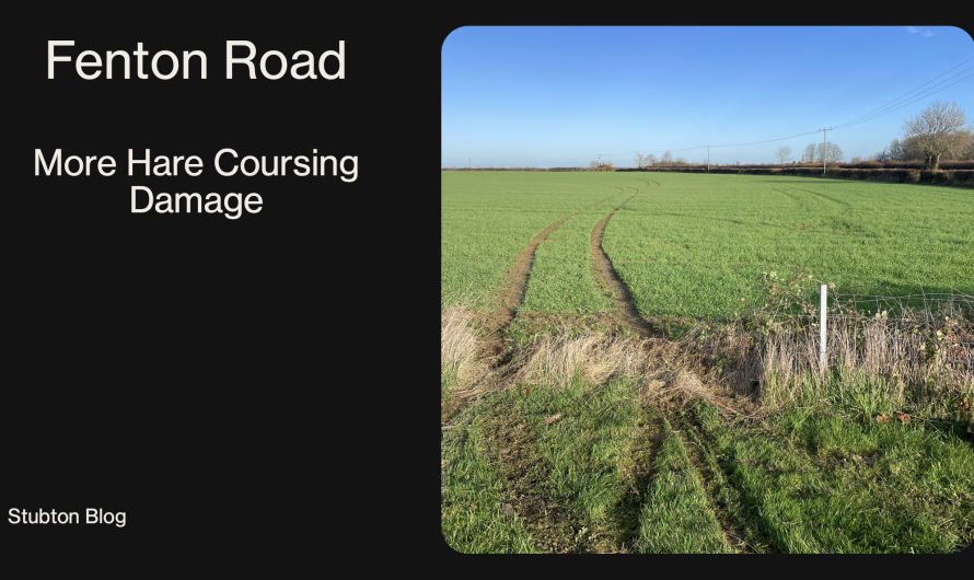 Another Example of Hare Coursing Damage