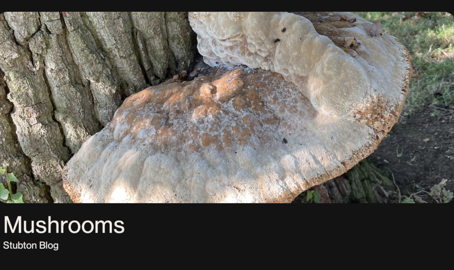 Fungi
