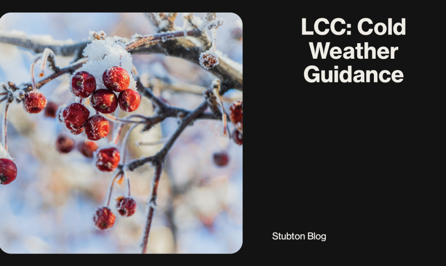 The cold weather’s here: Top tips for dealing with ice and snow, and what to know about driving