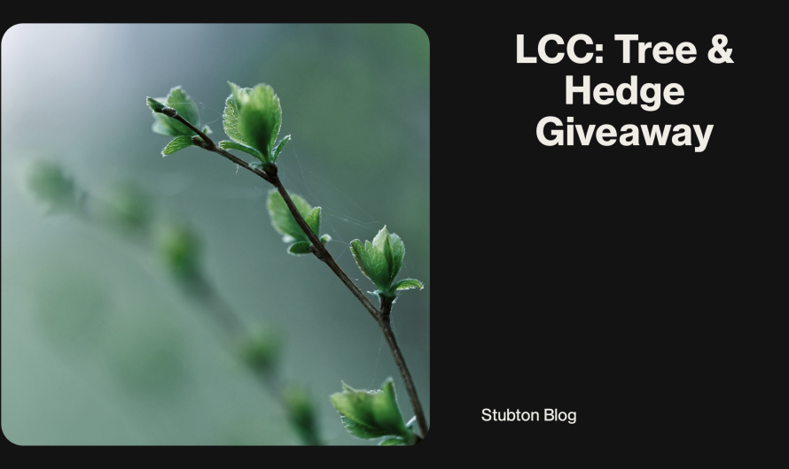 Tree and Hedge giveaway, a huge success!