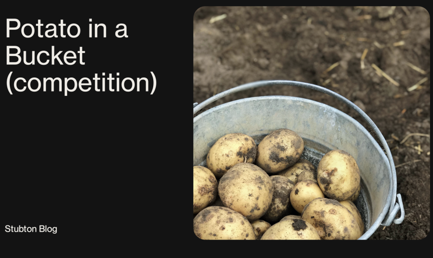 2026 Potato-in-a-Bucket Challenge
