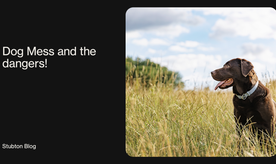 Dog Mess in Stubton!